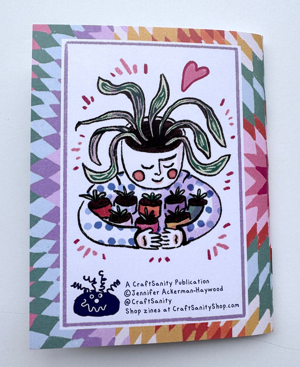 What to Expect when your Spider Plant is Expecting