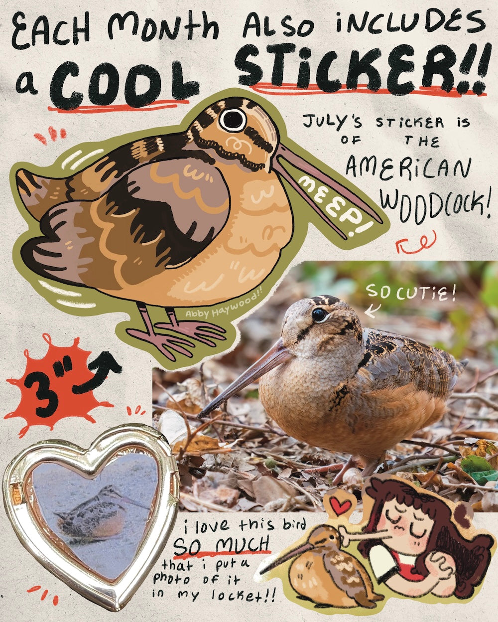 Zine + sticker fun fact mail club!